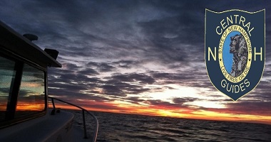 Describe the photo or the page it links to